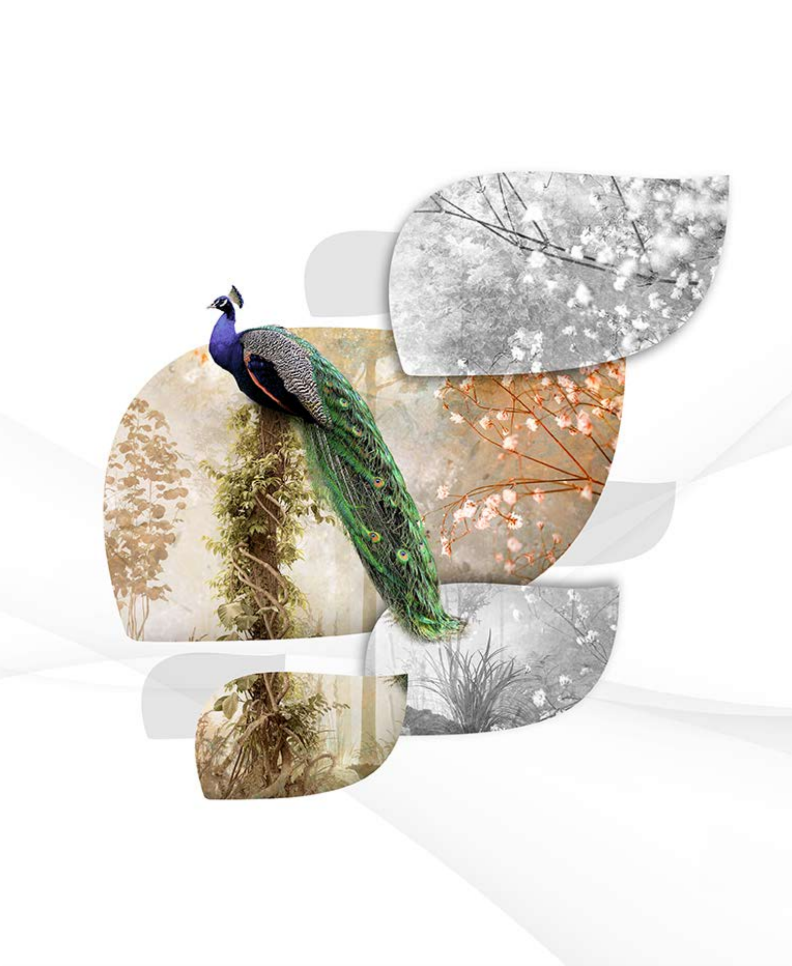 Customised blinds and wallpapers